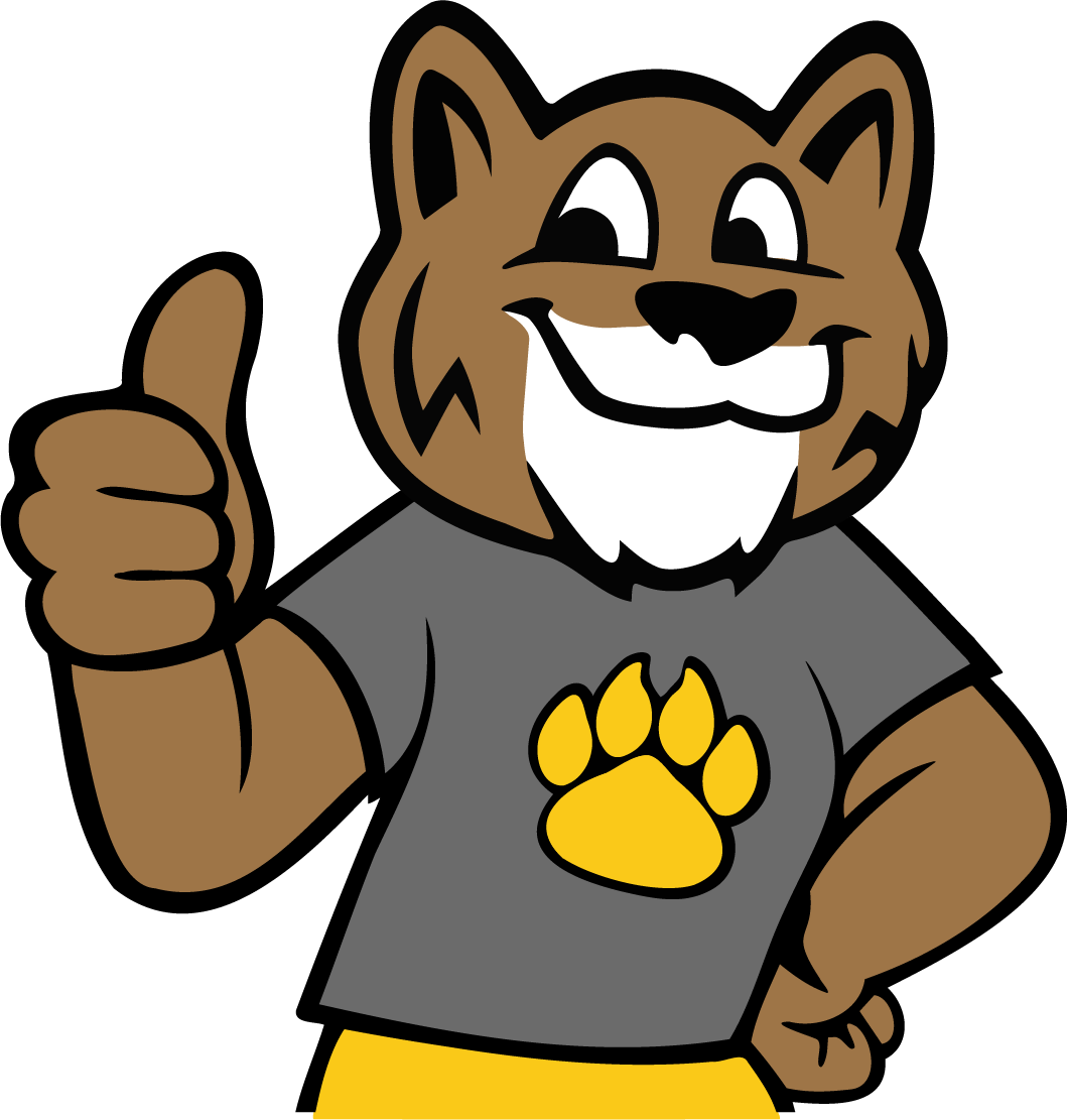  Bobcat 